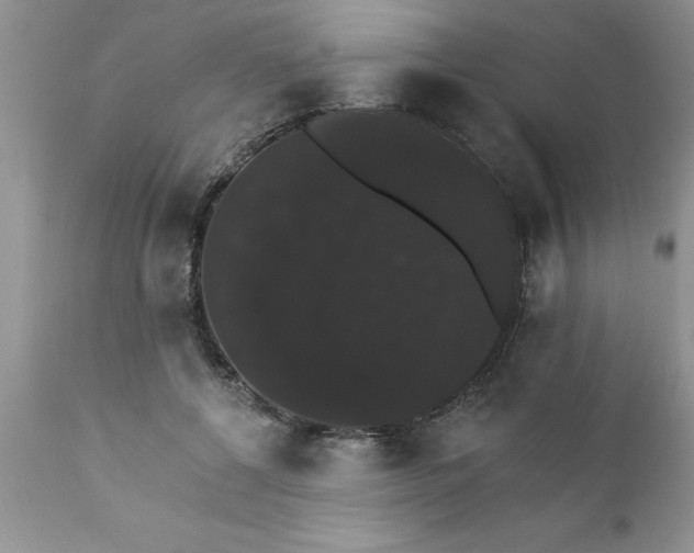 X0000111800552200907301212