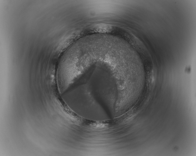 X0000111800553200907301212