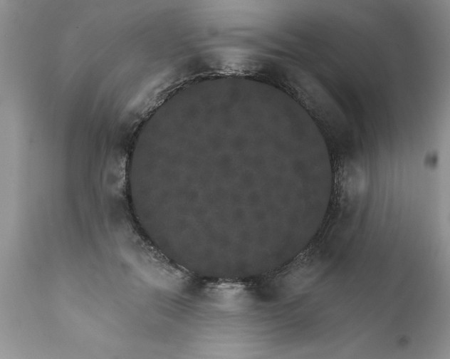 X0000111800554200907301212