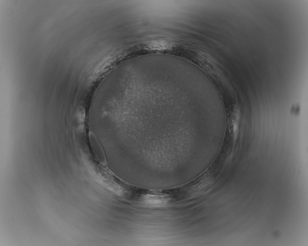 X0000111800556200907301212