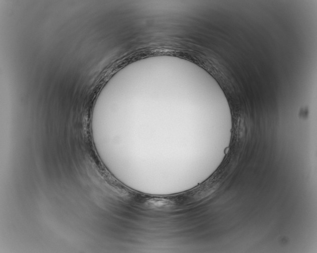 X0000111800557200907301212