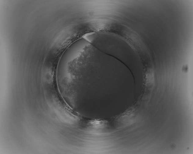 X0000111800558200907301212