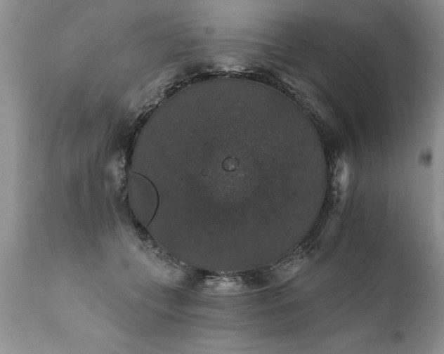 X0000111800559200907301212