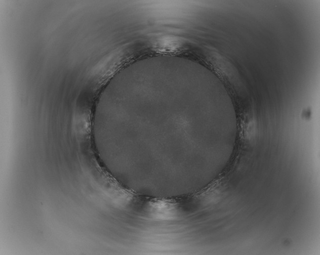 X0000111800561200907301212