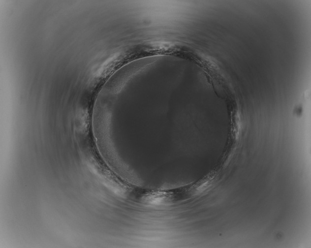 X0000111800563200907301212