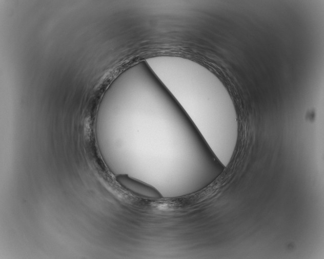X0000111800564200907301212