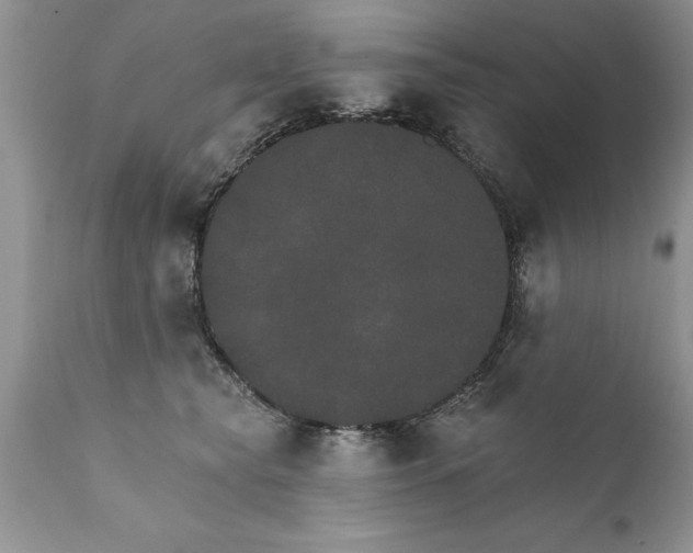 X0000111800565200907301212