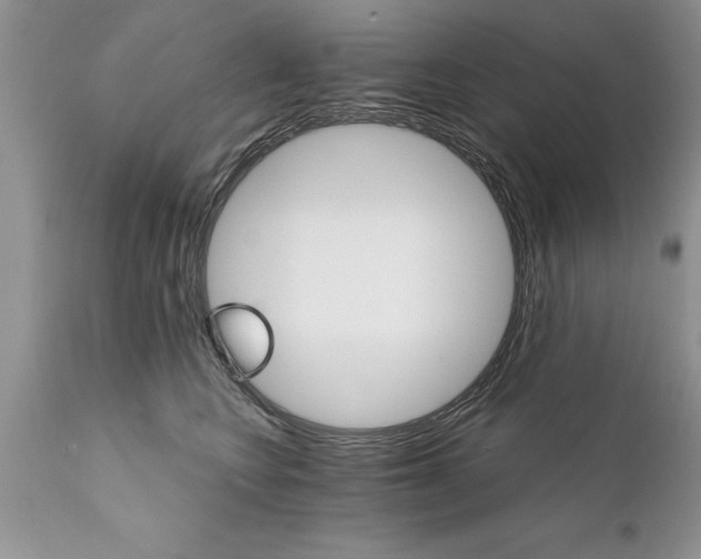 X0000111800566200907301212