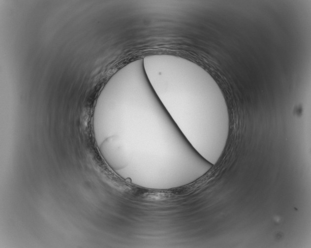 X0000111800567200907301212