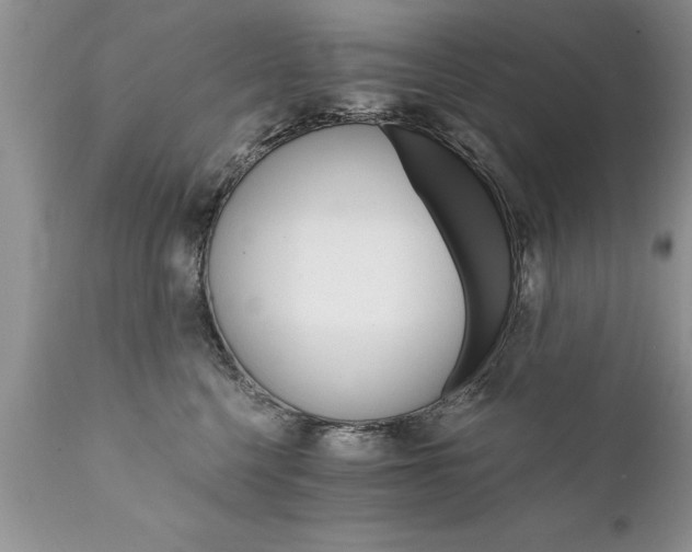 X0000111800568200907301212