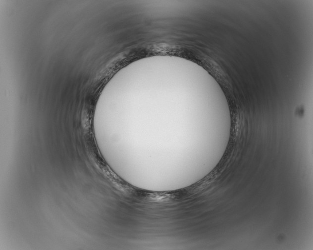 X0000111800569200907301212