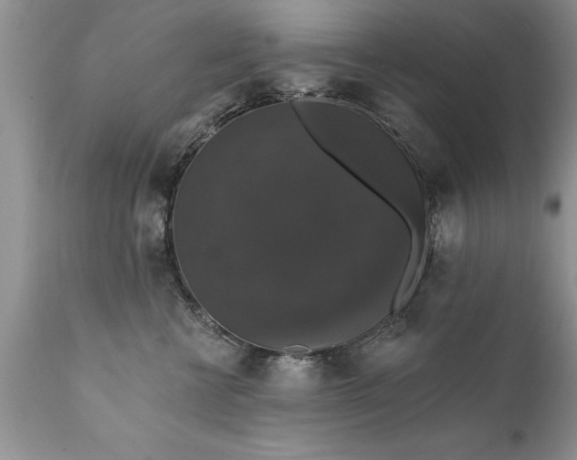 X0000111800570200907301212