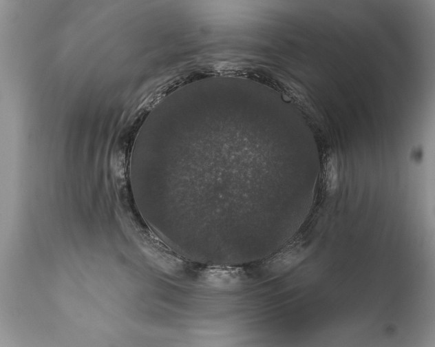 X0000111800571200907301212
