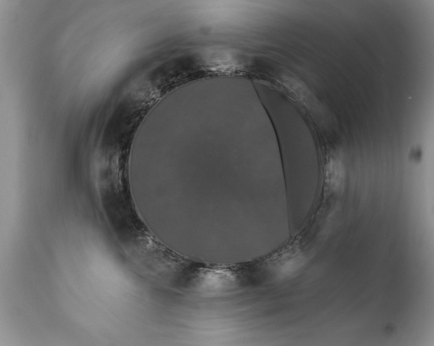 X0000111800572200907301212