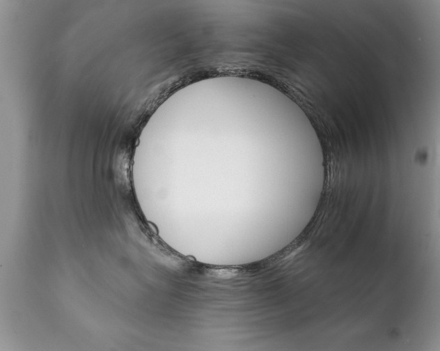 X0000111800575200907301212