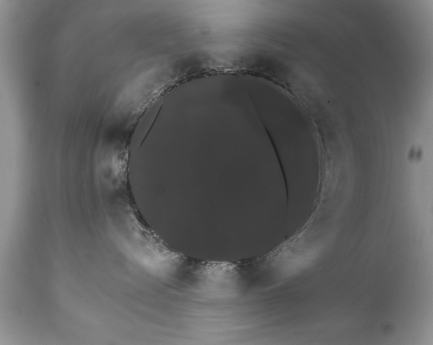 X0000111800576200907301212