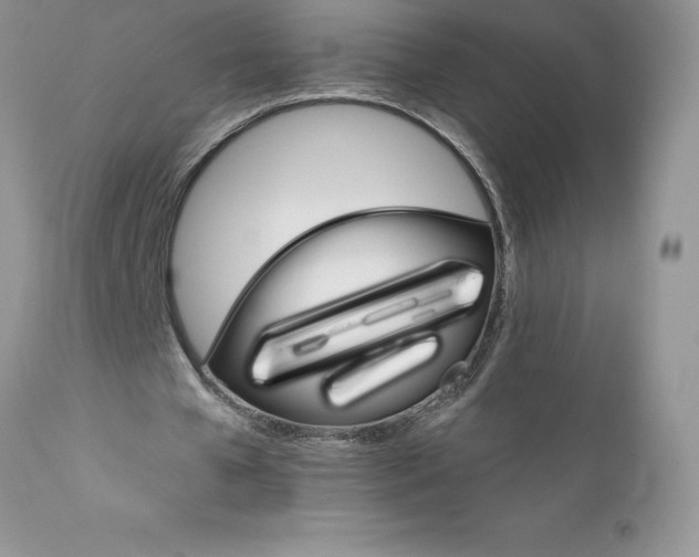 X0000111800577200907301212
