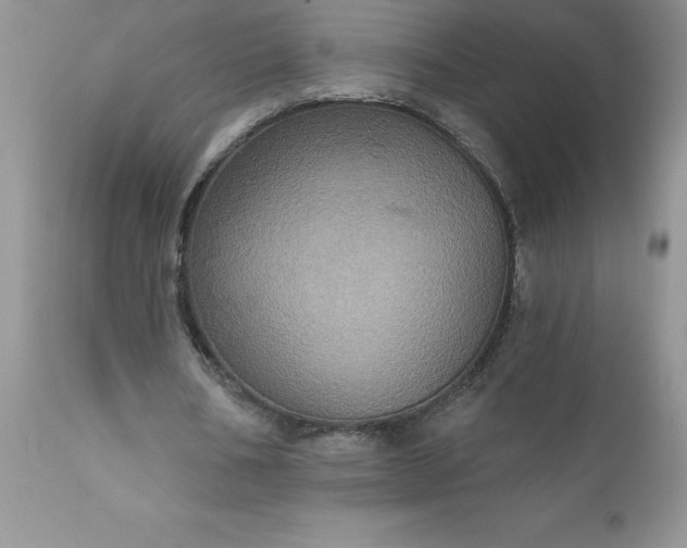 X0000111800578200907301212