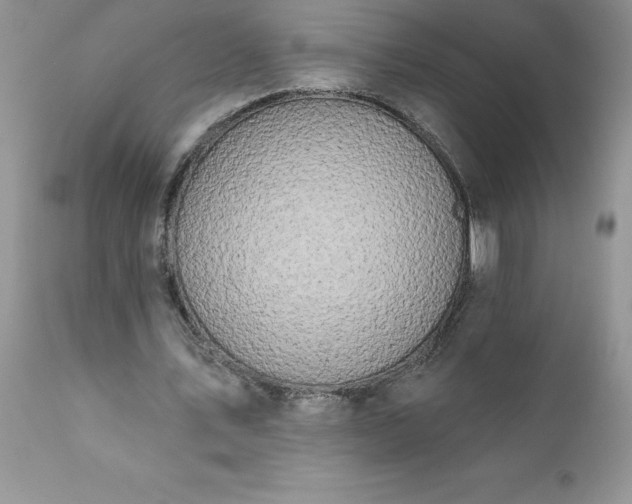 X0000111800579200907301212