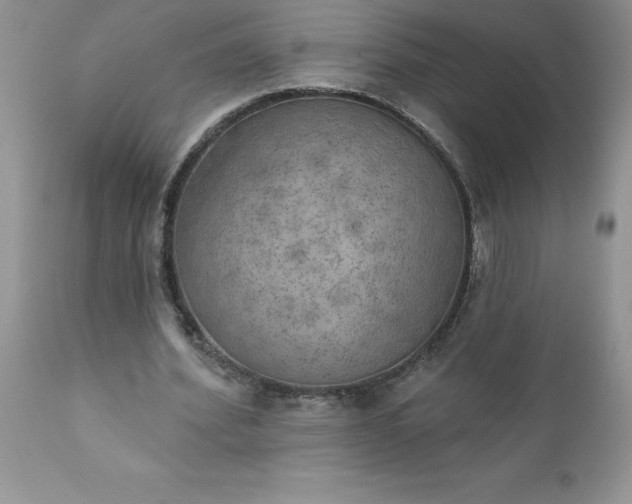 X0000111800580200907301212