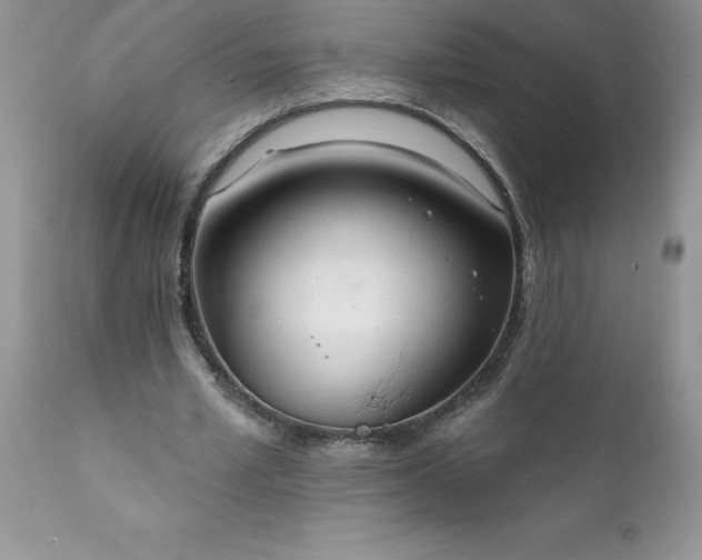X0000111800581200907301212