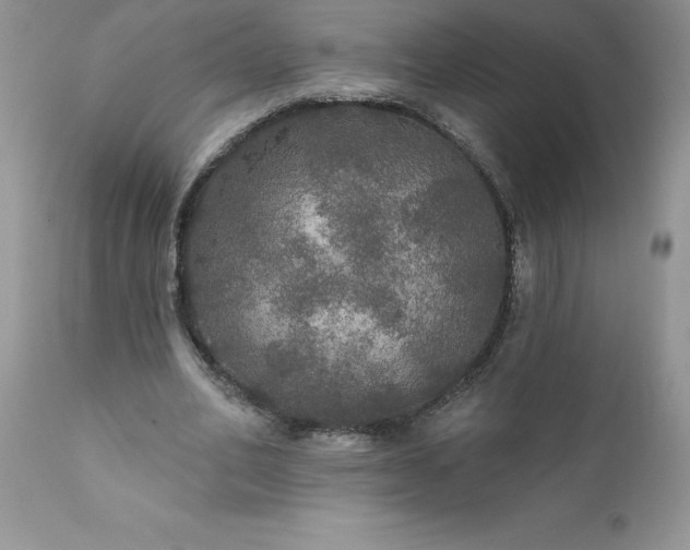 X0000111800582200907301212