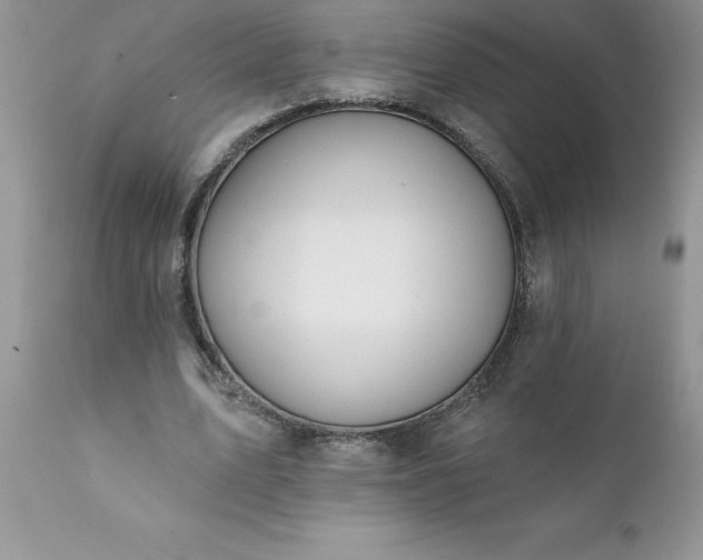 X0000111800583200907301212