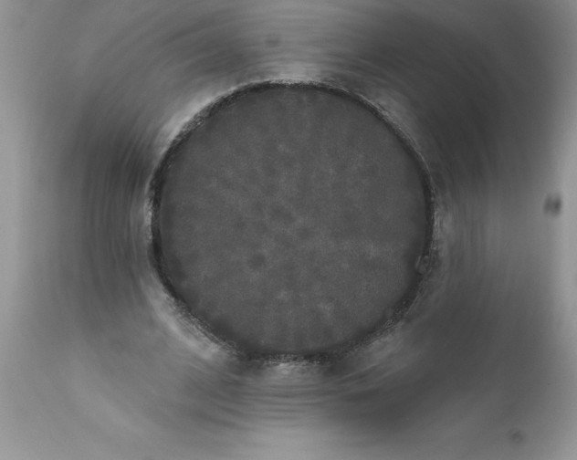 X0000111800584200907301211