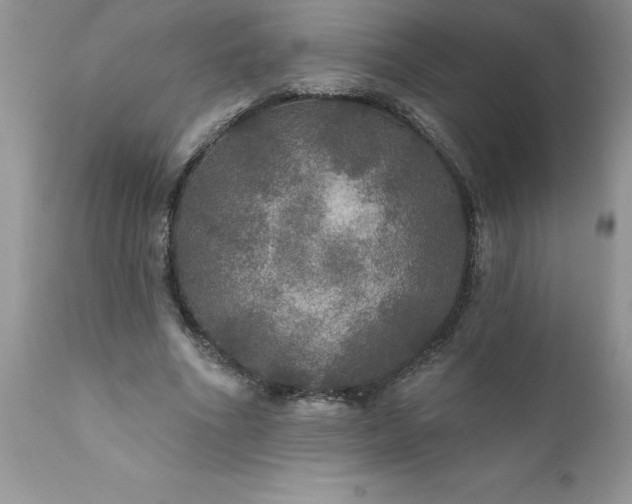 X0000111800586200907301211