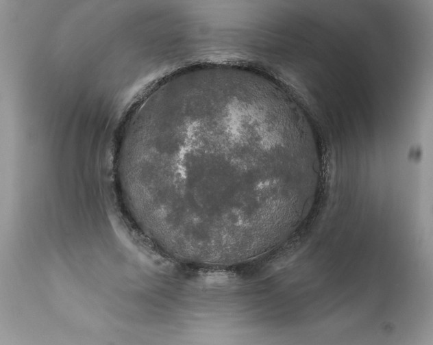 X0000111800587200907301211