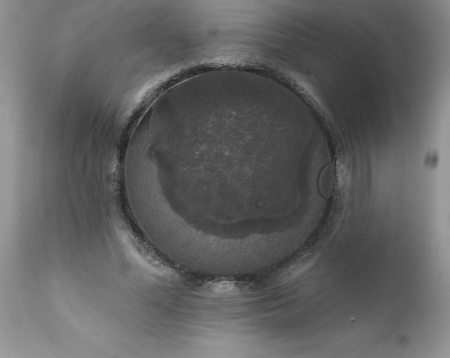 X0000111800588200907301211