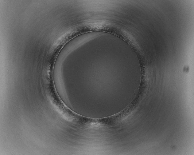 X0000111800590200907301211