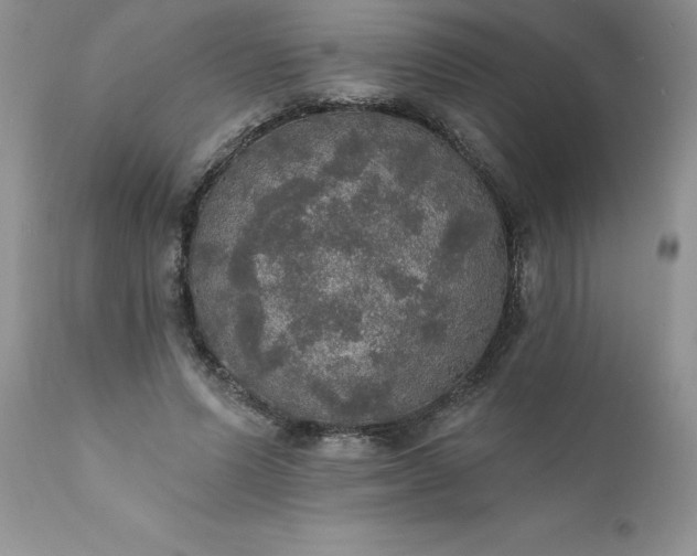 X0000111800591200907301211