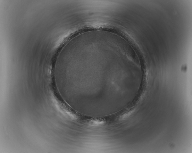 X0000111800592200907301211
