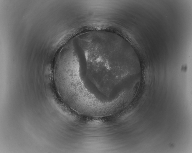 X0000111800594200907301211