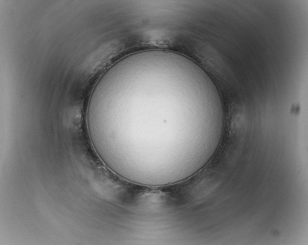 X0000111800595200907301211