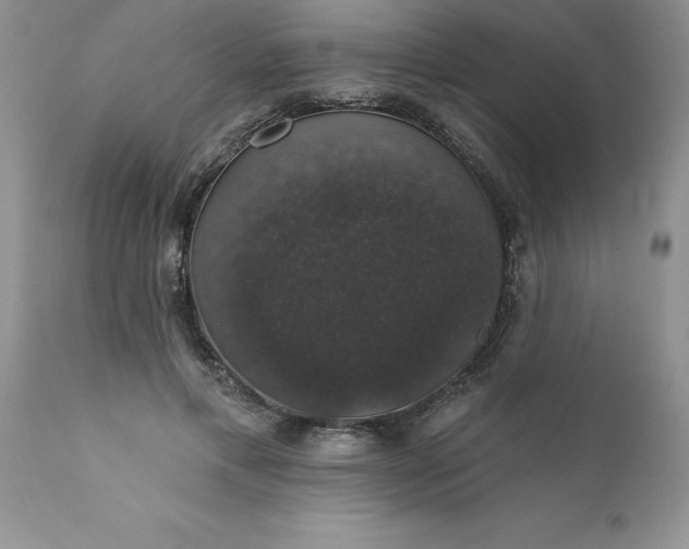 X0000111800597200907301211