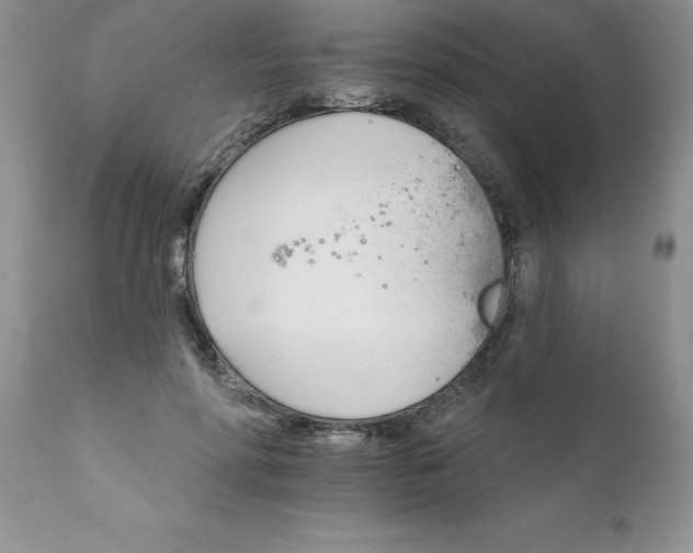 X0000111800598200907301211