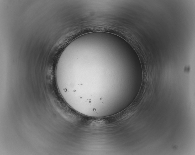 X0000111800599200907301211