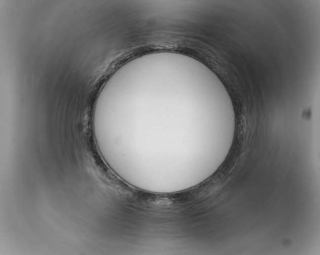 X0000111800600200907301211