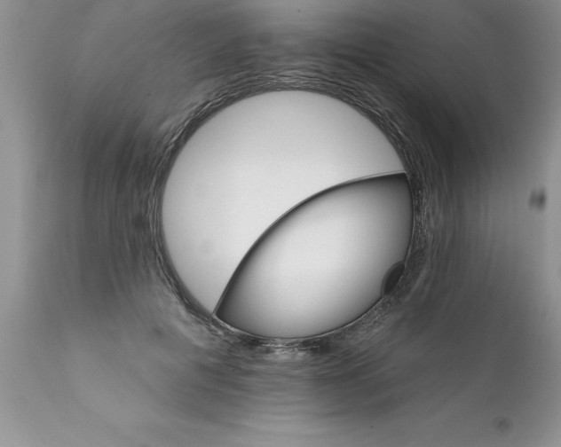 X0000111800601200907301211