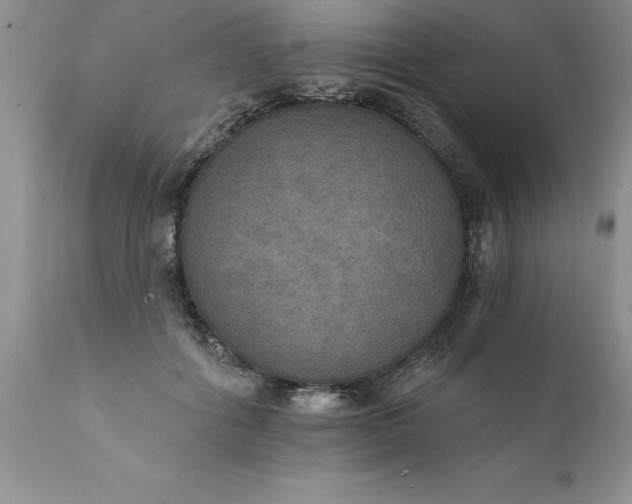 X0000111800602200907301211