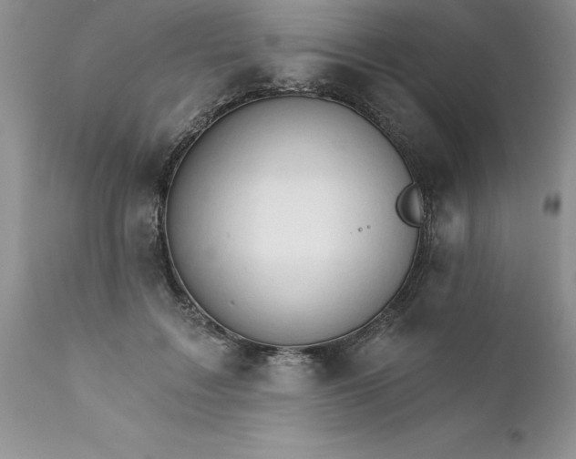 X0000111800603200907301211