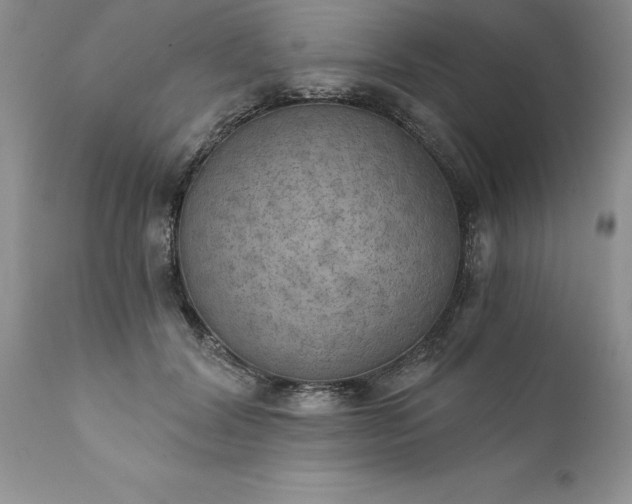 X0000111800604200907301211