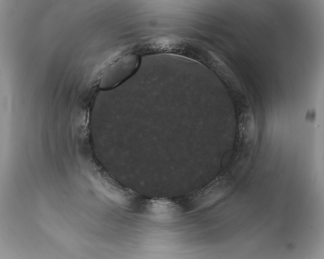 X0000111800605200907301211
