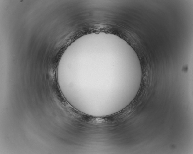 X0000111800607200907301211