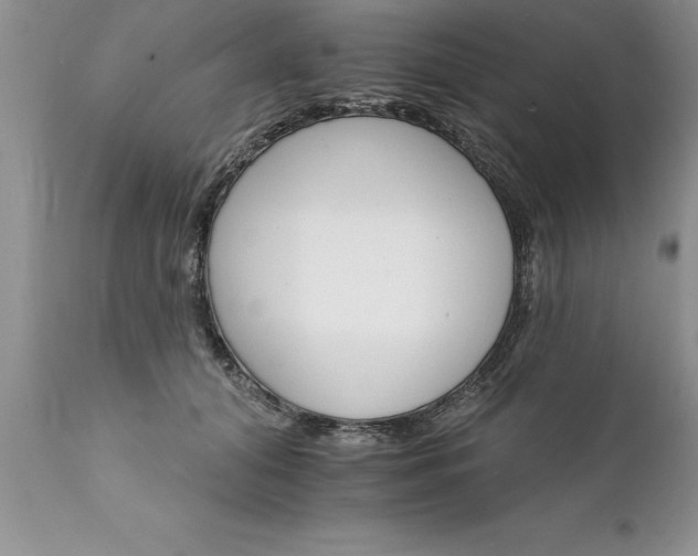 X0000111800608200907301211