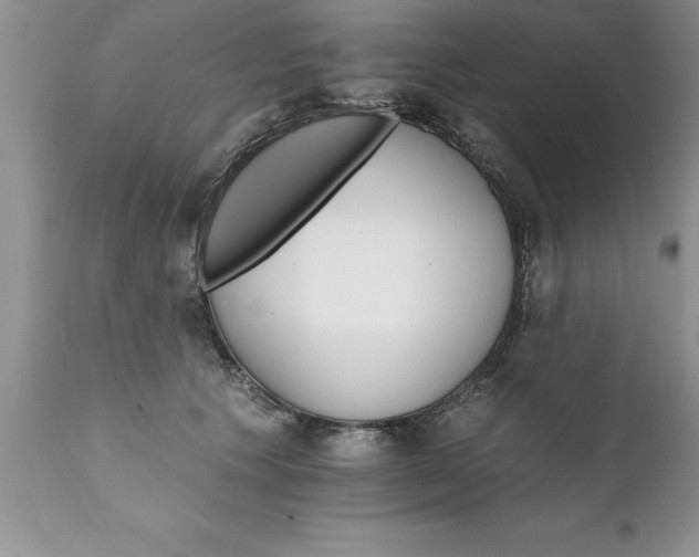 X0000111800609200907301211