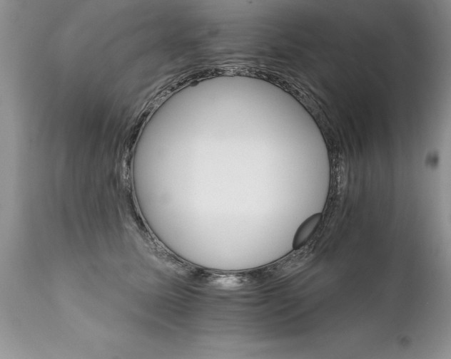 X0000111800611200907301211