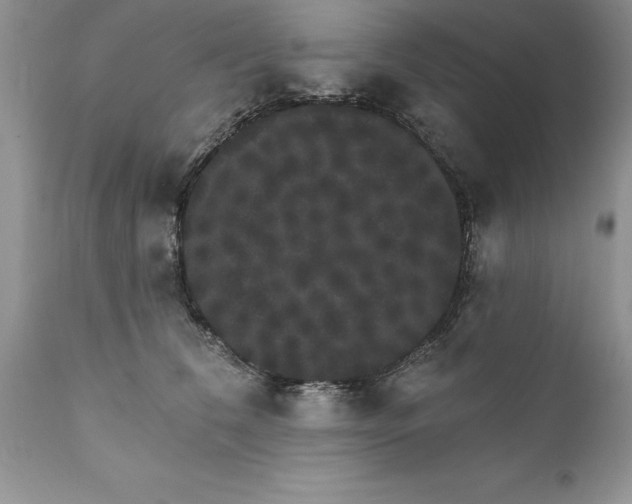X0000111800612200907301211